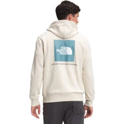 The North Face Men's Box NSE Pullover Hoodie -Urban Layered Store NF0A4761 11P hero