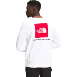 The North Face Men's Box NSE Cew Sweatshirt -Urban Layered Store NF0A5A6V FN4 hero