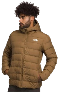 Urban Layered Store -Urban Layered Store zoo 10 removebg preview e1763910974536